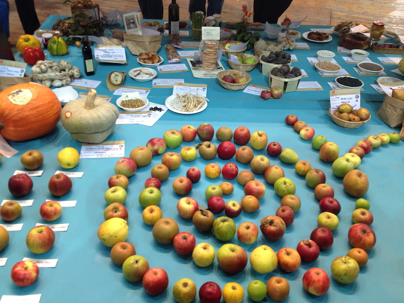 Organic Farming and Farmers in Italy and Greece | Saturday, February 28, 2015