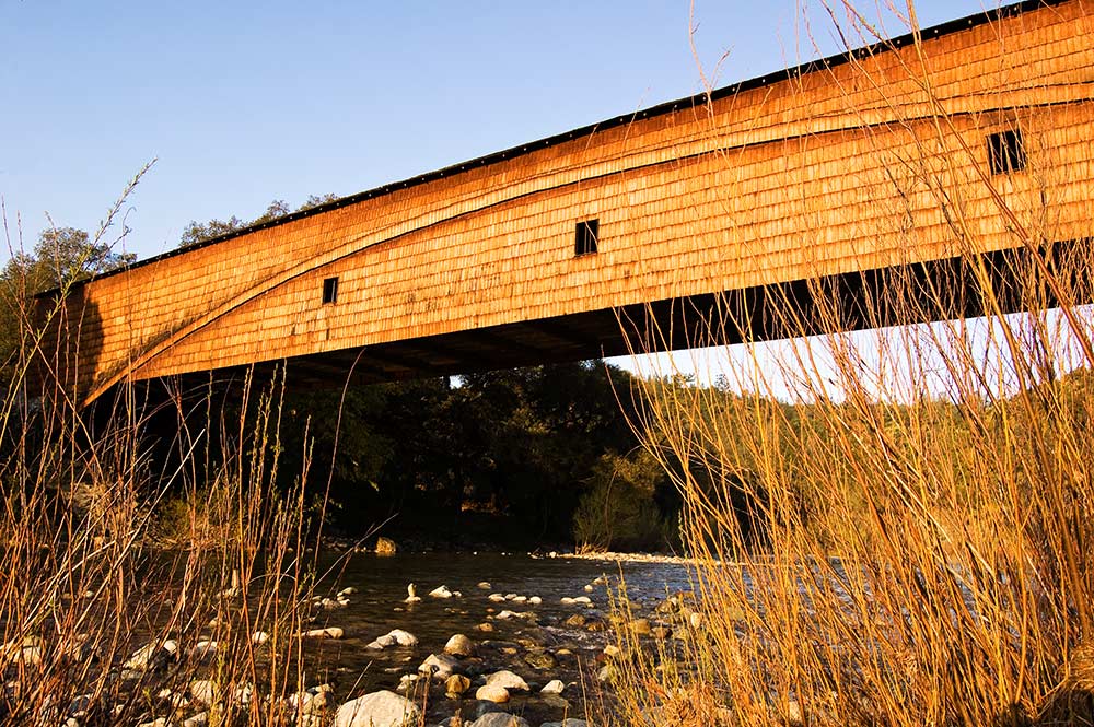 bridge_willows_sunrise