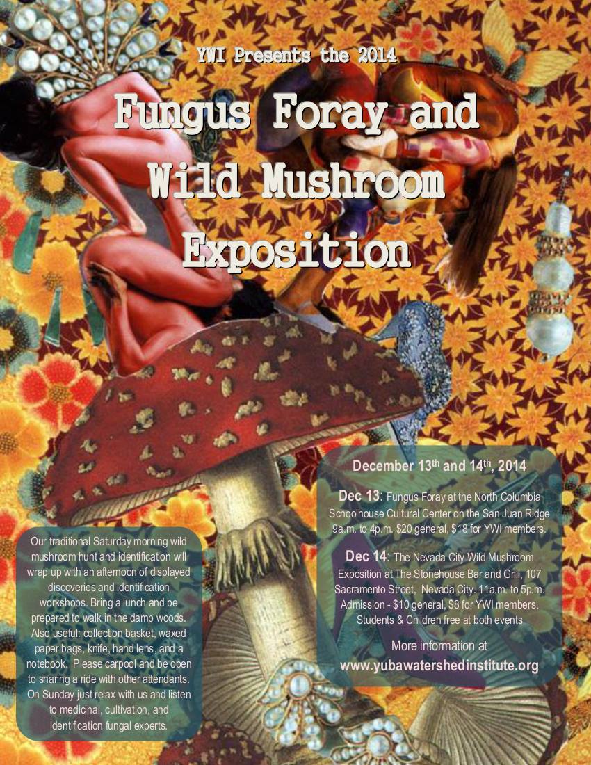 Yuba Watershed Institute Fungus Foray | Saturday, December 13, 2014