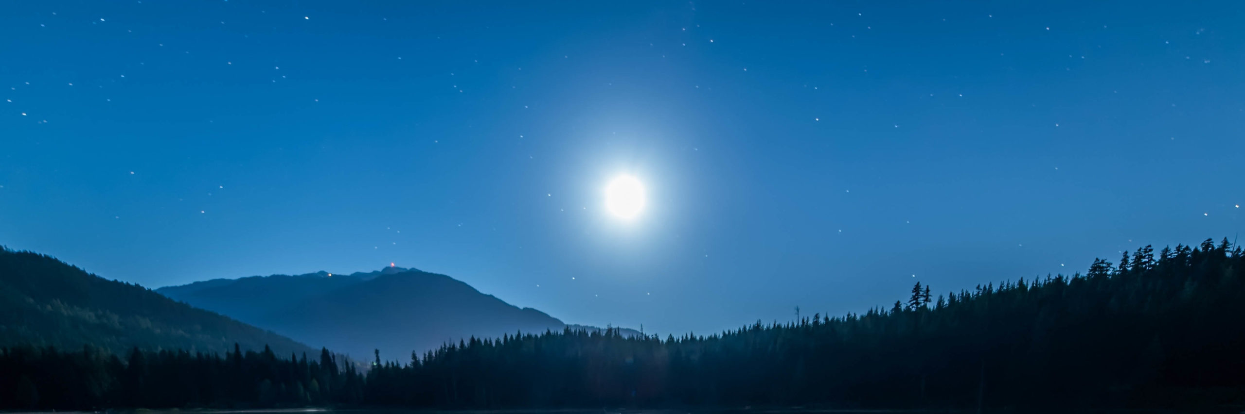 Rumi by Moonlight